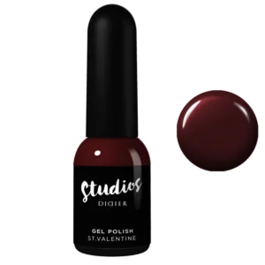 STUDIOS DIDIER GELINIS LAKAS ST VALENTINE